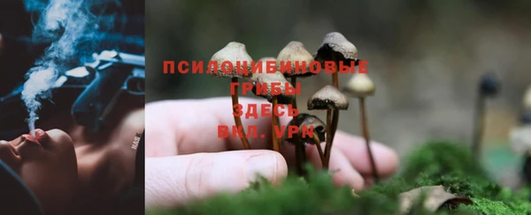 соль ск Балабаново